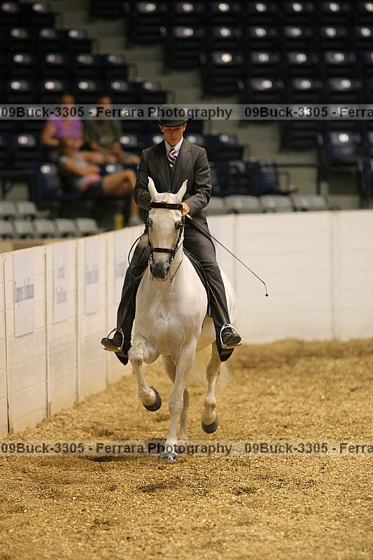 Proof Number 09buck-3305