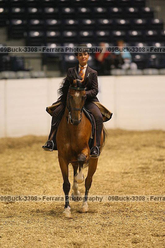 Proof Number 09buck-3308