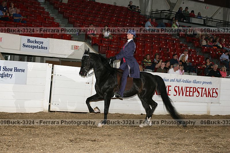 Proof Number 09buck-3324
