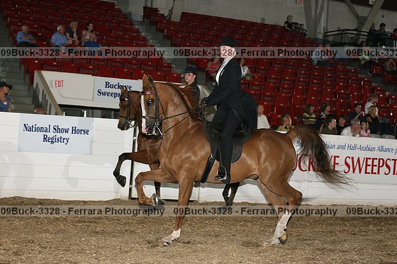 Proof Number 09buck-3328