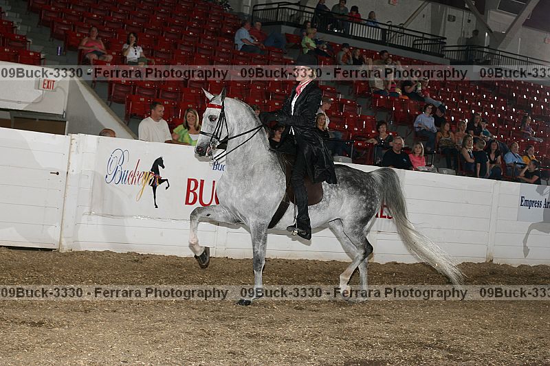 Proof Number 09buck-3330