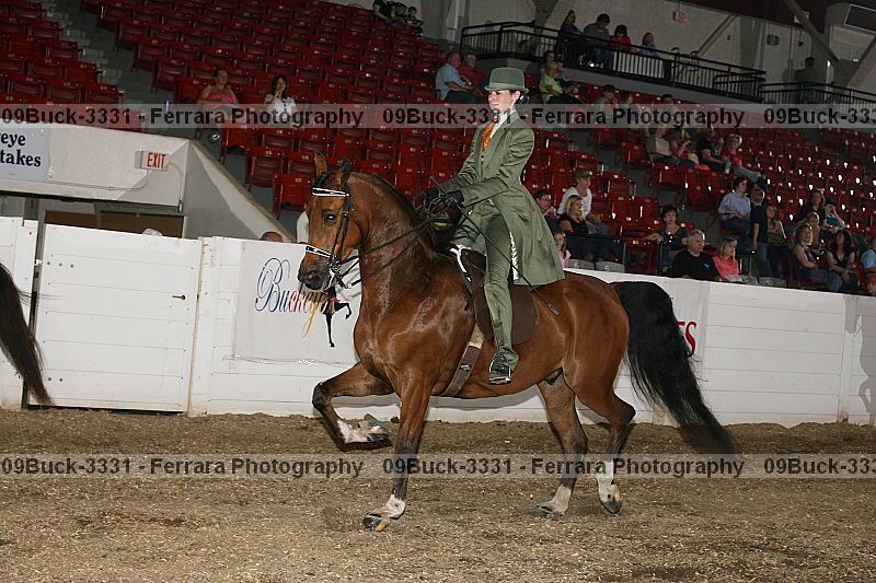 Proof Number 09buck-3331