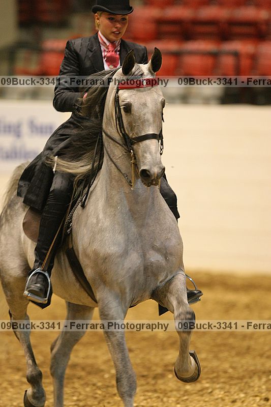 Proof Number 09buck-3341