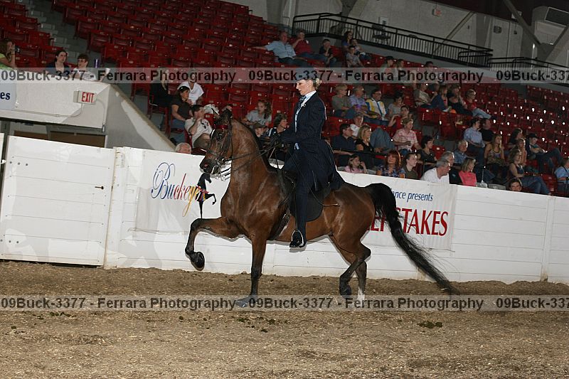 Proof Number 09buck-3377