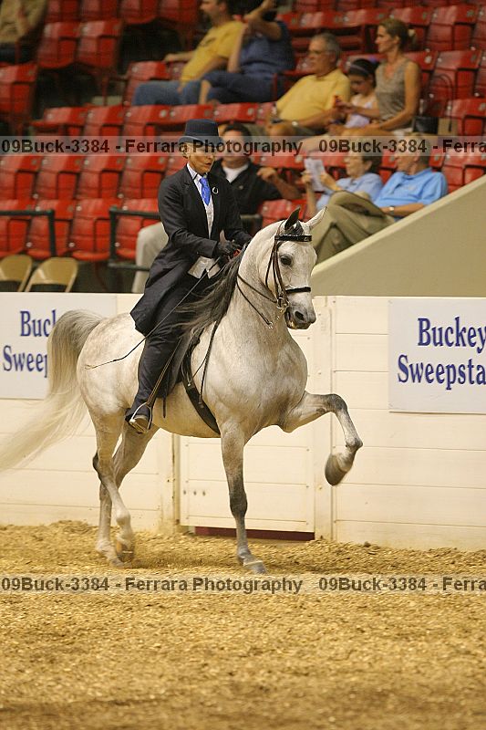 Proof Number 09buck-3384