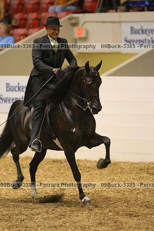 Proof Number 09buck-3385