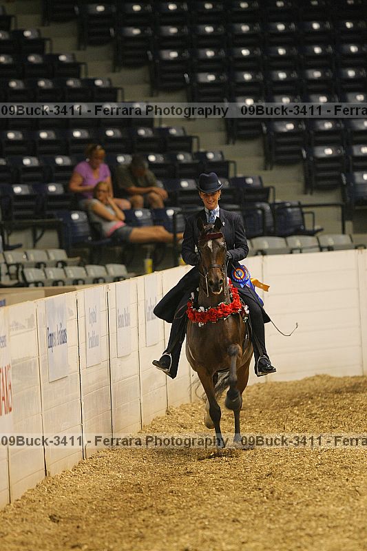 Proof Number 09buck-3411