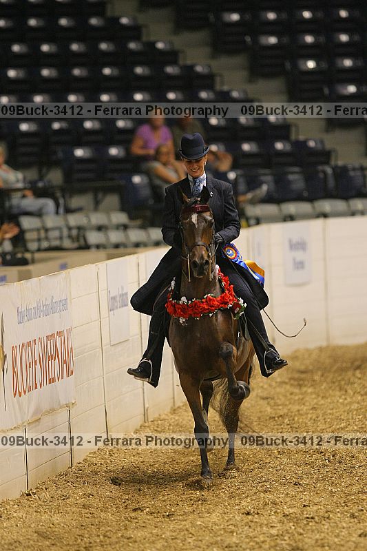 Proof Number 09buck-3412