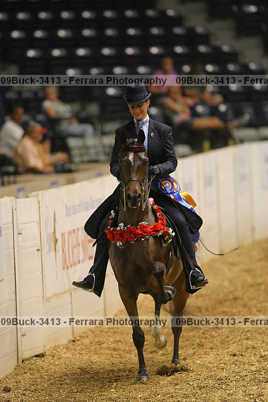 Proof Number 09buck-3413