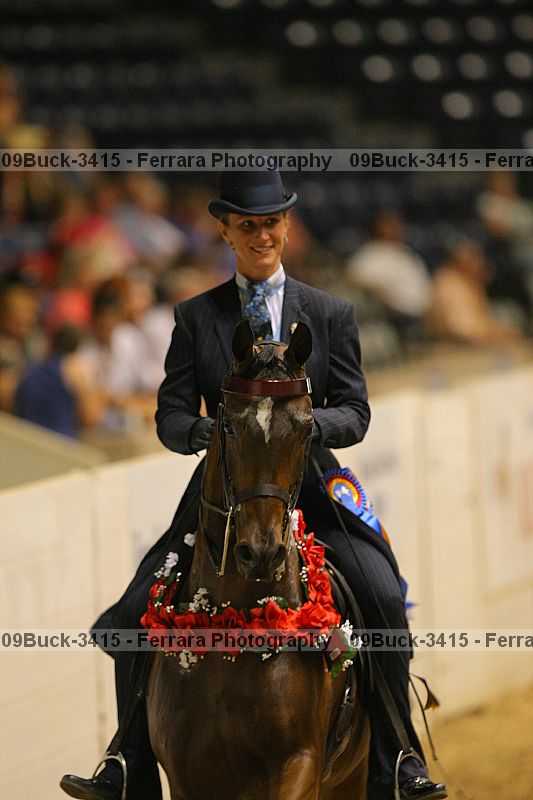 Proof Number 09buck-3415