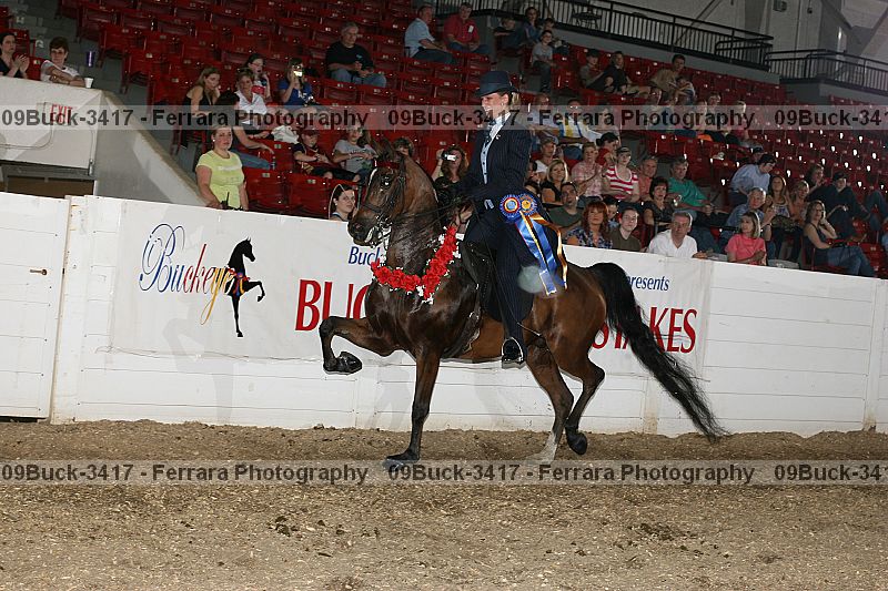 Proof Number 09buck-3417
