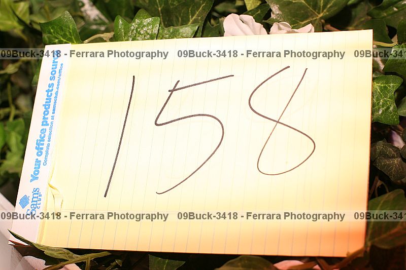 Proof Number 09buck-3418