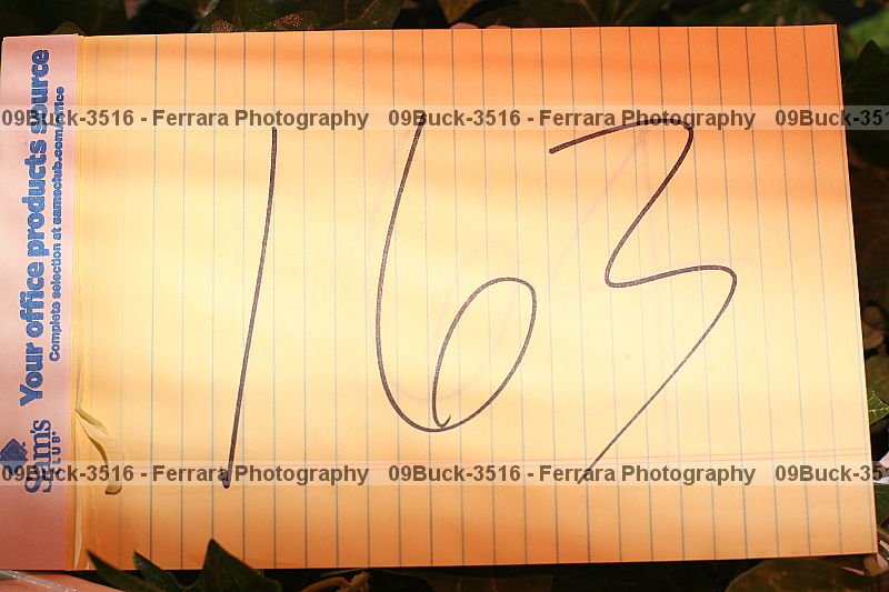 Proof Number 09buck-3516