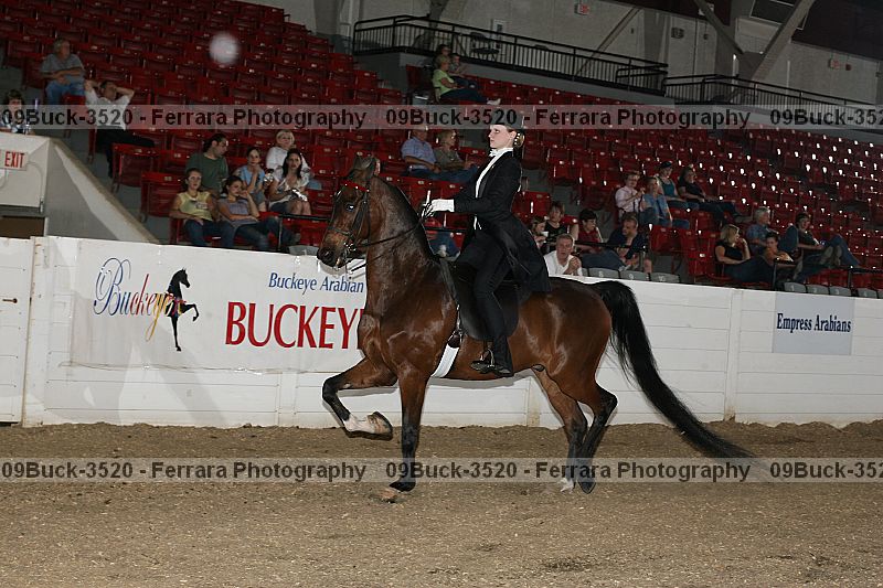 Proof Number 09buck-3520