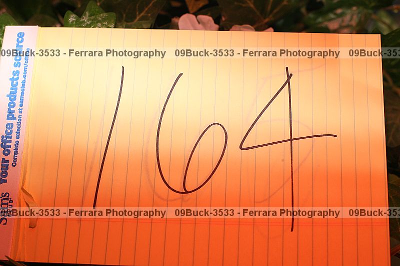 Proof Number 09buck-3533