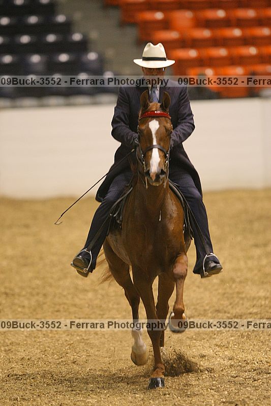 Proof Number 09buck-3552