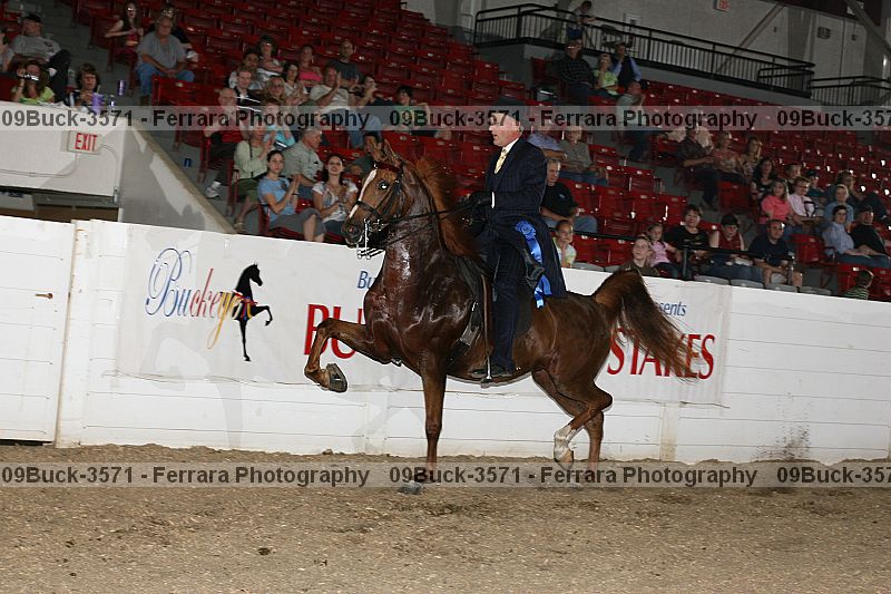 Proof Number 09buck-3571