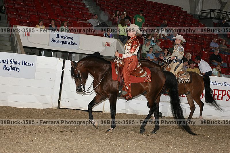 Proof Number 09buck-3585