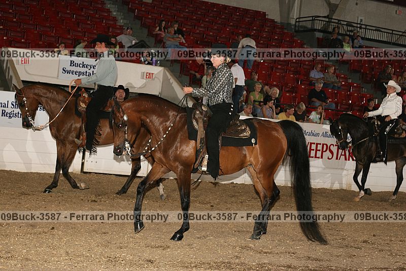 Proof Number 09buck-3587