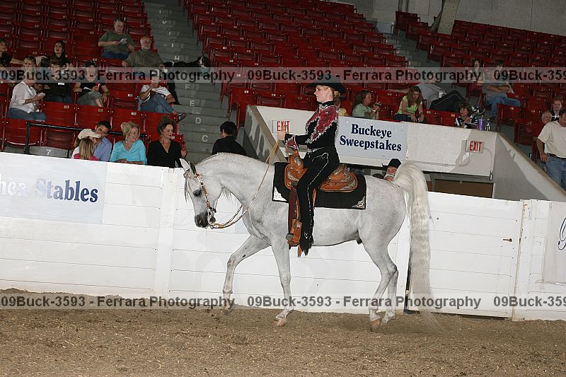 Proof Number 09buck-3593