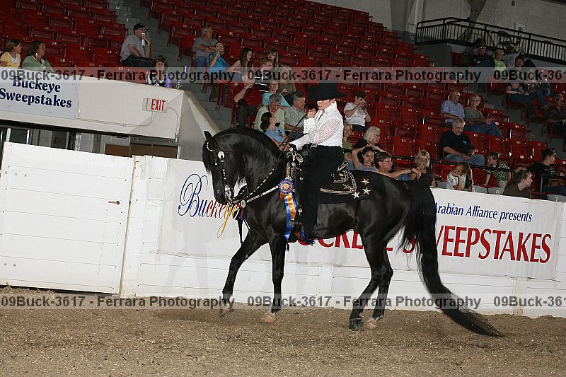 Proof Number 09buck-3617