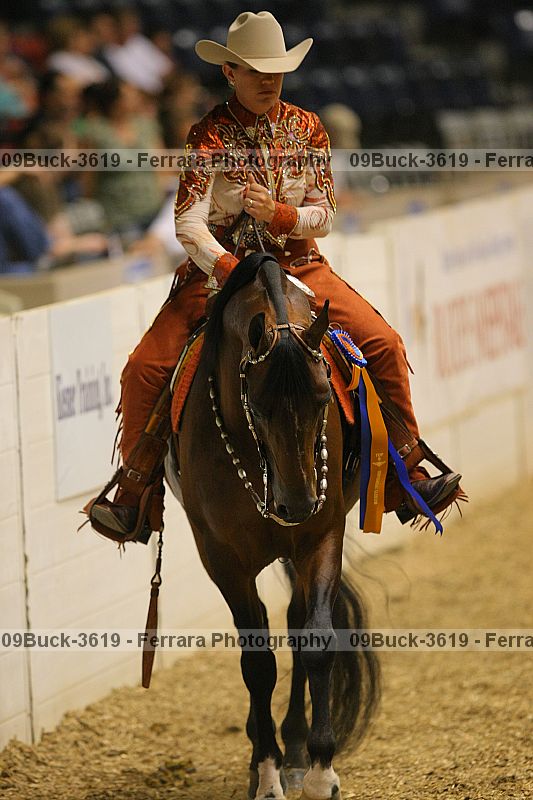 Proof Number 09buck-3619