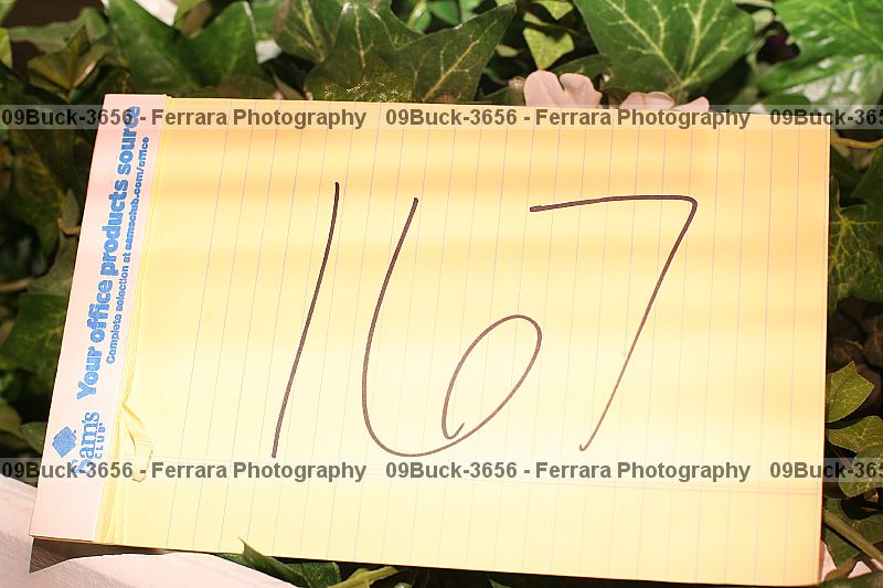 Proof Number 09buck-3656