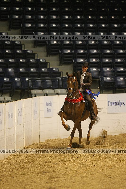 Proof Number 09buck-3668