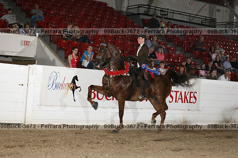 Proof Number 09buck-3672