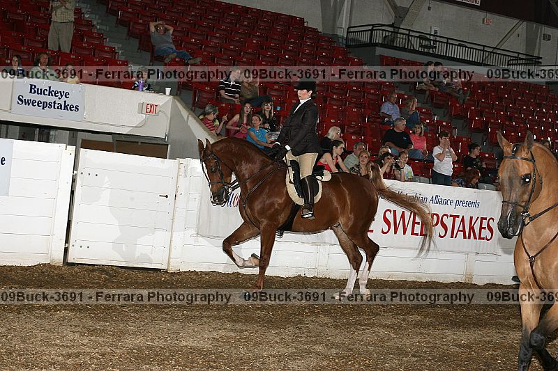 Proof Number 09buck-3691