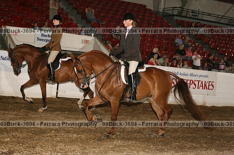 Proof Number 09buck-3694