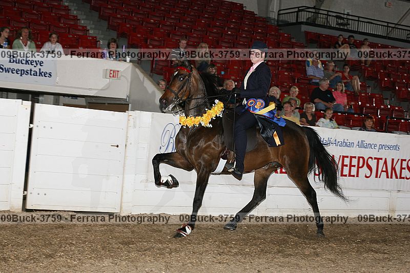 Proof Number 09buck-3759