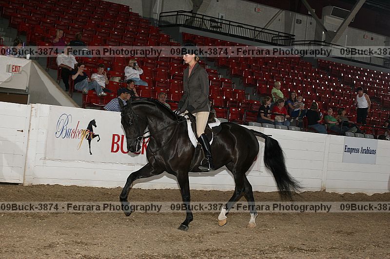 Proof Number 09buck-3874