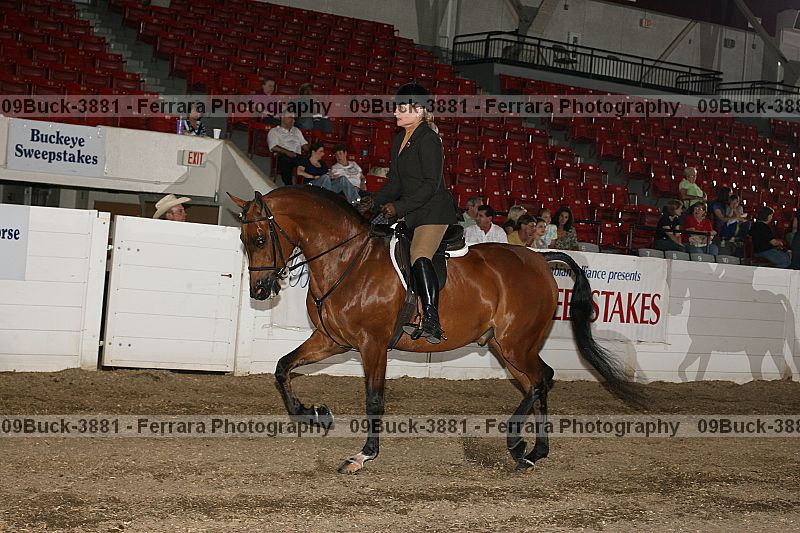 Proof Number 09buck-3881