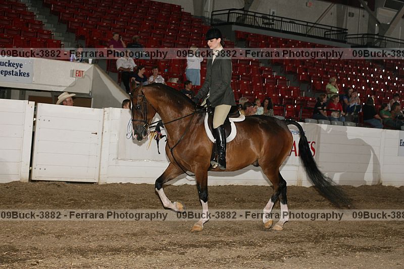 Proof Number 09buck-3882
