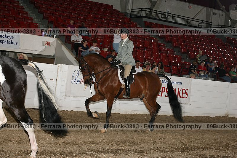 Proof Number 09buck-3883