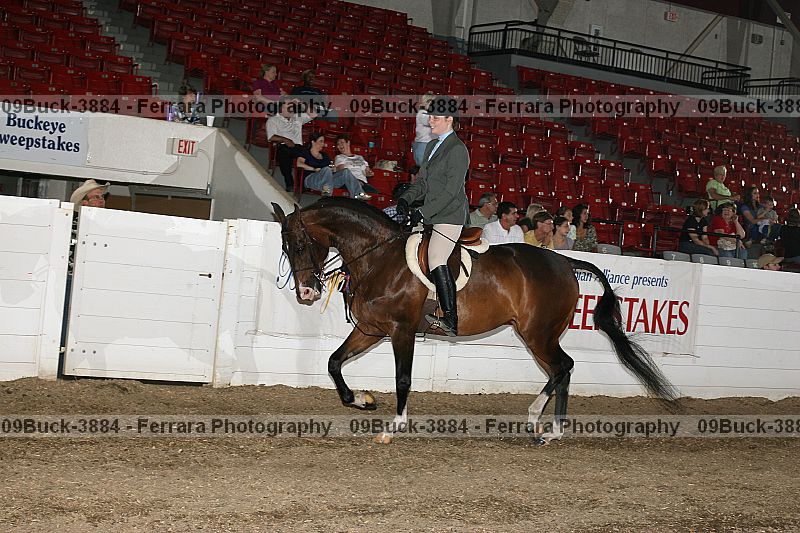Proof Number 09buck-3884