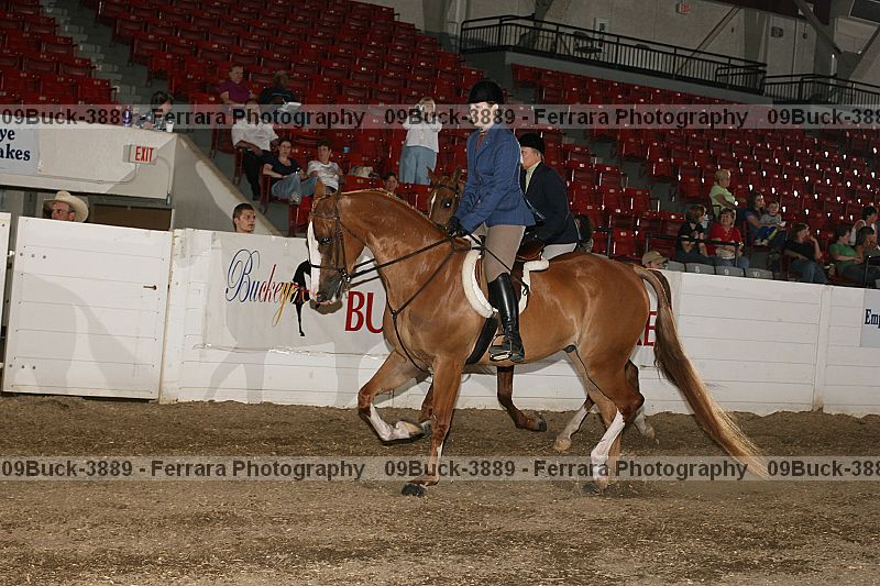 Proof Number 09buck-3889