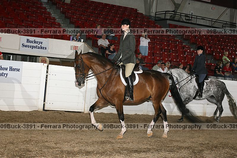 Proof Number 09buck-3891