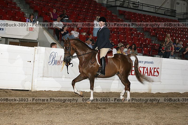 Proof Number 09buck-3893