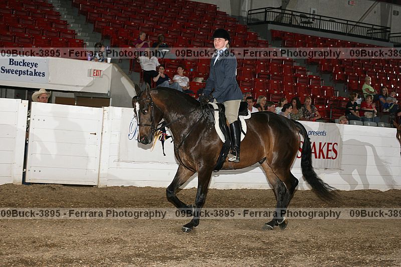 Proof Number 09buck-3895