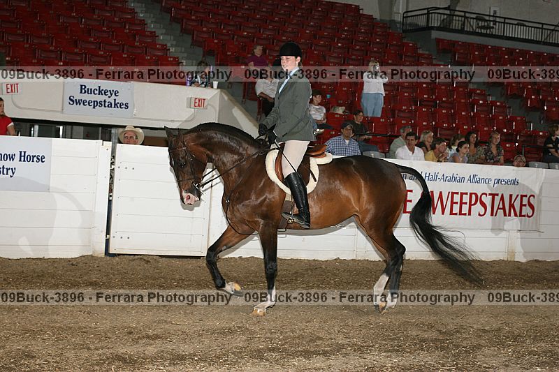 Proof Number 09buck-3896