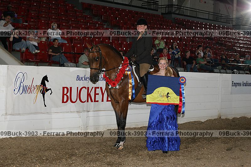 Proof Number 09buck-3903