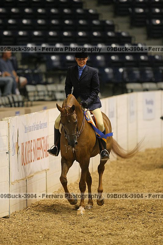 Proof Number 09buck-3904
