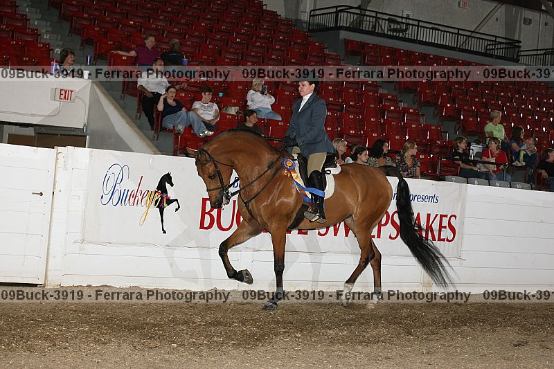 Proof Number 09buck-3919