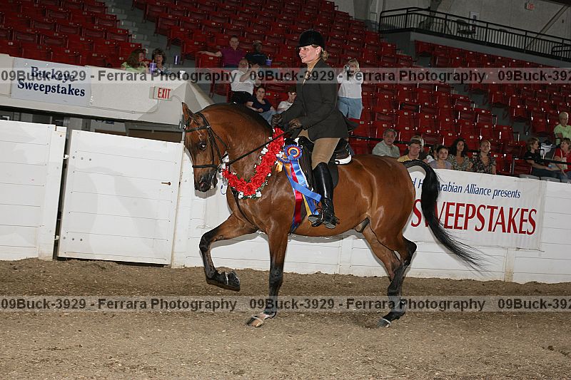 Proof Number 09buck-3929