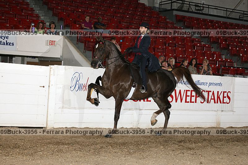 Proof Number 09buck-3956