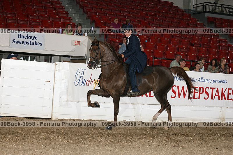 Proof Number 09buck-3958