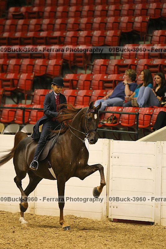 Proof Number 09buck-3960
