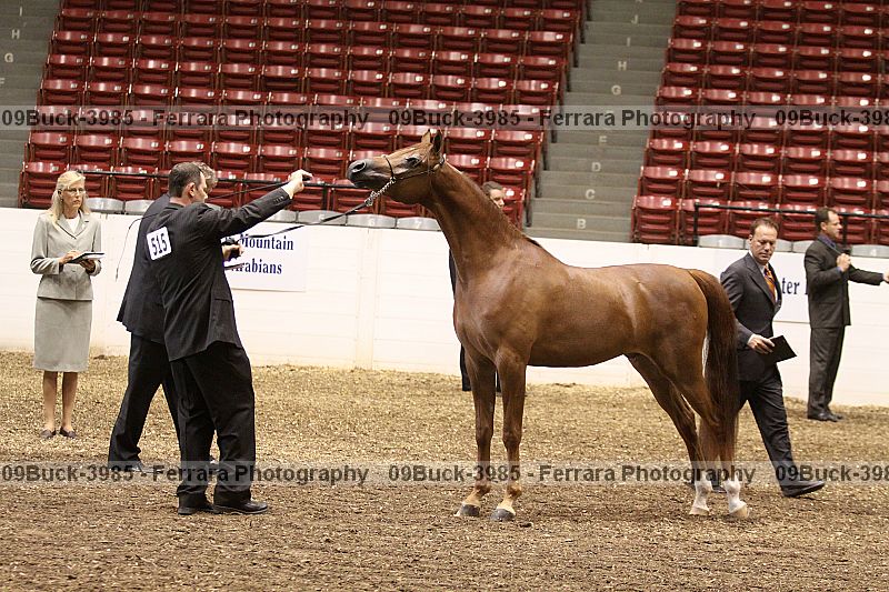 Proof Number 09buck-3985